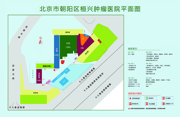 大鸡吧操逼黄色视频湿了北京市朝阳区桓兴肿瘤医院平面图